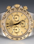 Rolex Daytona Champagne Index Dial on Oyster 116503 Complete 2021