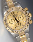 Rolex Daytona Champagne Index Dial on Oyster 116503 Complete 2021