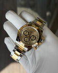 Rolex Daytona Golden Index Dial on Oyster 126503 Complete 2023
