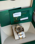 Rolex Daytona Golden Index Dial on Oyster 126503 Complete 2023