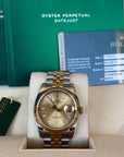 Rolex Datejust 36 Champagne Stick Dial on Jubilee 116233 Card Open Date