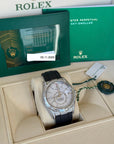 Rolex Sky-Dweller Meteorite Dial on Rubber Strap 336259TBR Complete 2025