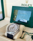 Rolex Sky-Dweller Meteorite Dial on Rubber Strap 336259TBR Complete 2025