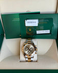 Rolex Daytona Golden Index Dial on Oyster 126503 Complete 2023