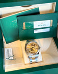 Rolex SkyDweller Champagne Dial on Oyster 326933 Complete 2019